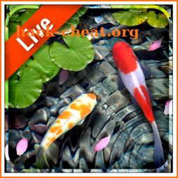 Koi Fish Live Wallpaper icon