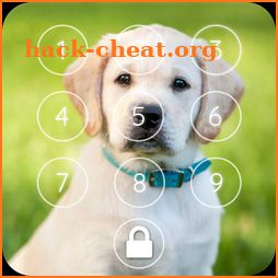 Labrador  Retriever Puppies HD Pattern Lock Screen icon