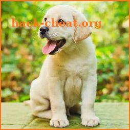 Labrador Simulator icon