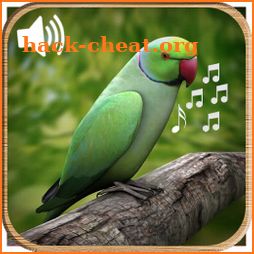 Latest Bird Ringtones 2019 icon