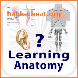 Learning Anatomy Quiz icon