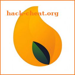 Mango VPN icon