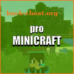 Minicraft Pro icon