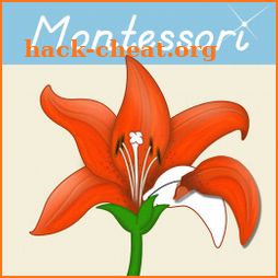 Montessori Botany - Parts of Plants icon