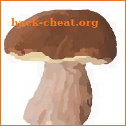 Mushroomizer icon