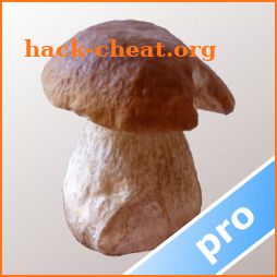 Myco pro - Mushroom Guide icon