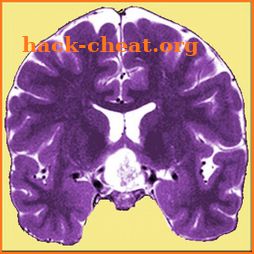 Neuro Toolkit icon