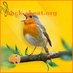 New Birds Ringtones 2020 - Bird sound mp3 icon