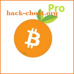 Orange Bitcoin Pro - Countdown BTC icon