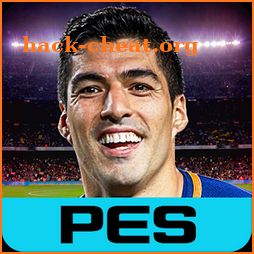 PES COLLECTION icon