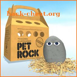 Pet Rock icon