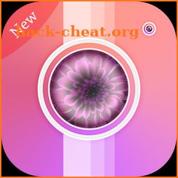 PIP CAM - Photo Maker, Pic Collage & Photo Editor icon