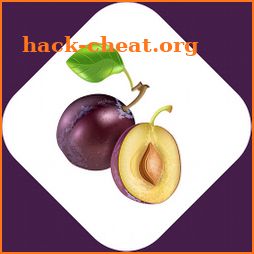 Plum Benefits icon