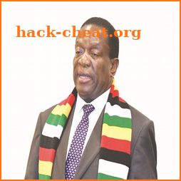 President E D Mnangagwa icon