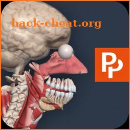 Primal’s 3D Human Anatomy Quiz icon