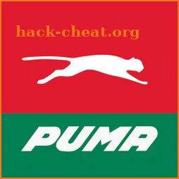 Puma FastPay icon