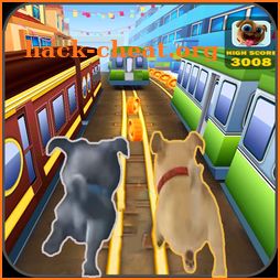 puppy dog free pals run games icon