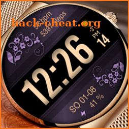 PWW41 - Ladies Digi Watch Face icon