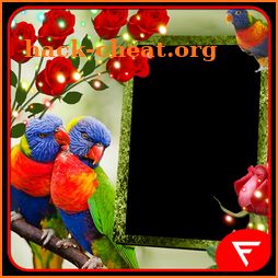 Rainbow Lorikeet Insta DP icon