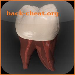 Real Tooth Morphology icon