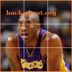 Save Kobe Bryant icon