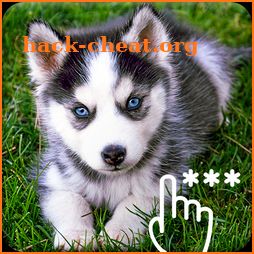 Siberian Husky Wallpaper Pattern PIN Lock Screen icon