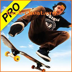 Skateboard Party 3 Pro icon