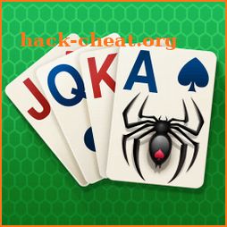 Spider Solitaire Card Game icon