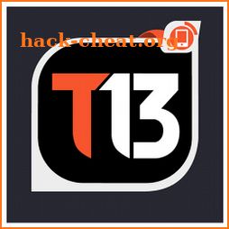 T13 icon