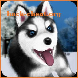 Talking Husky icon