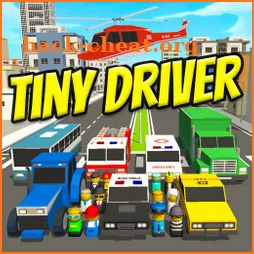 TINY DRIVER icon