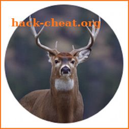 Trail Camera pro2 icon