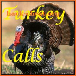 Turkey Calls HD icon