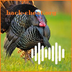 Turkey hunting calls icon