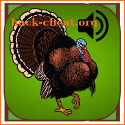 Turkey Hunting Calls icon