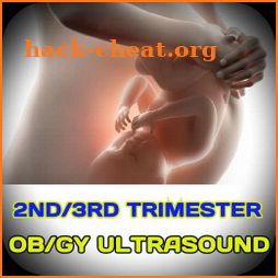 Ultrasound in Obstetrics and gynecology icon