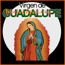 Virgen de Guadalupe icon