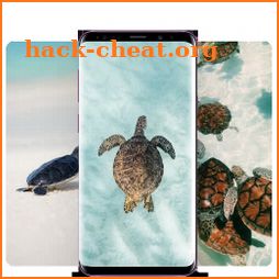 VSCO Girl: Sea Turtle Wallpapers icon