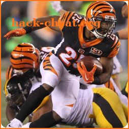 Wallpapers for Cincinnati Bengals Team icon