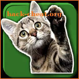 WAStickerApps Cats icon