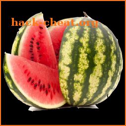 WaterMelon icon