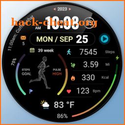 WFP 176 Fitness animated watch icon