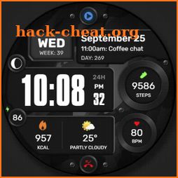 WFP 245 Digital watch face icon