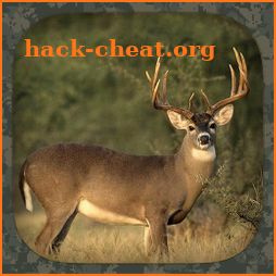 Whitetail Hunting Calls icon