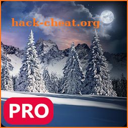 Winter Snowfall Day Night Realistic PRO Christmas icon