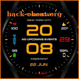 WR 003 Digital Watch Face icon