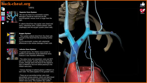 100% PERFECT HUMAN ANATOMY & PHYSIOLOGY screenshot