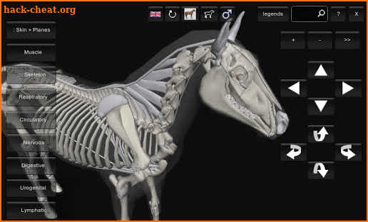 3D Horse Anatomy Software screenshot