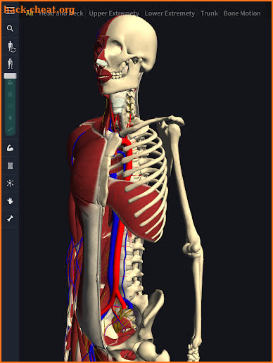 3D Motion Human Anatomy - teamLabBody screenshot