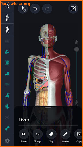 3DHumanAnatomy teamLabBody 2020 screenshot